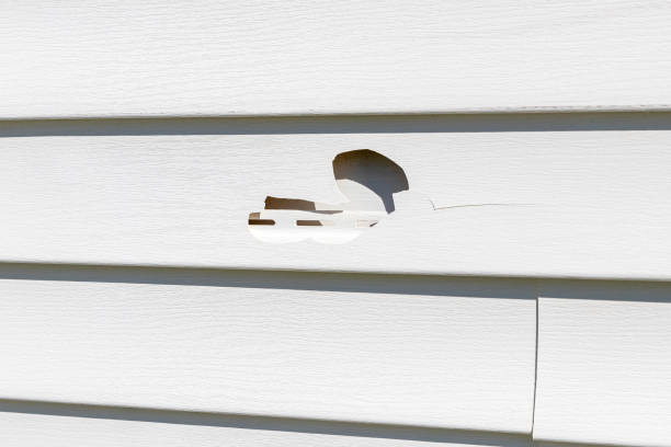 Best Shed Removal  in Livonia, MI