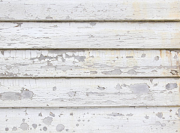 Best Hoarding Cleanup  in Livonia, MI